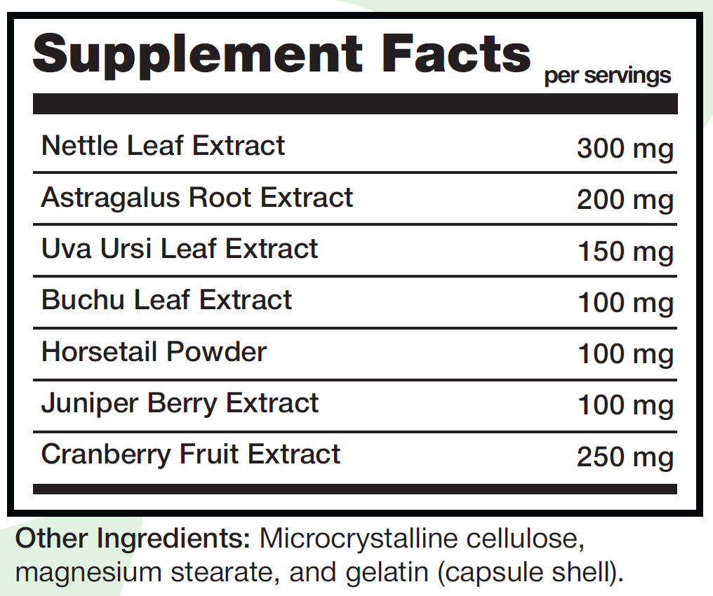 KIDNEY SUPP 60 KAPSÜL (BÖBREK KORUYUCU)